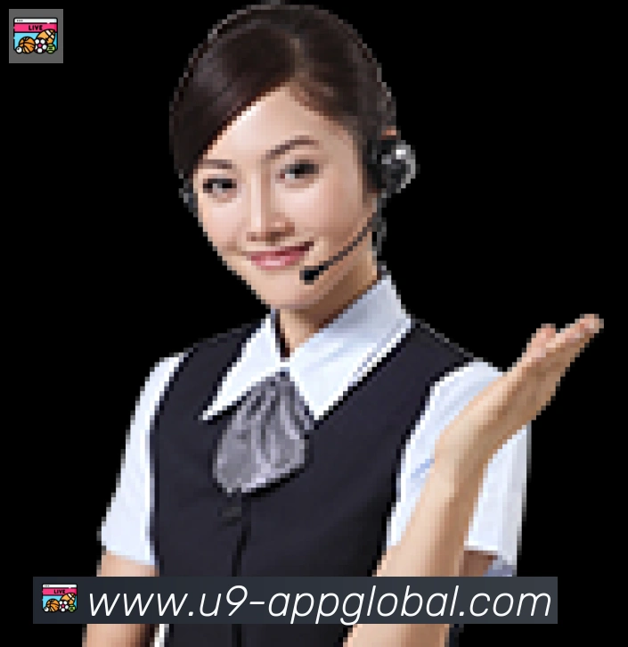 未来规划